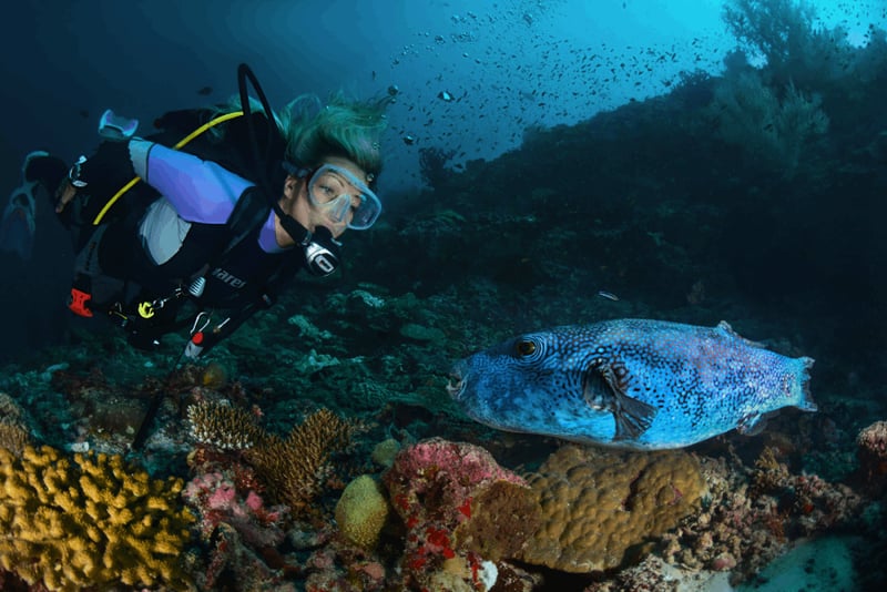 Immersioni e snorkeling