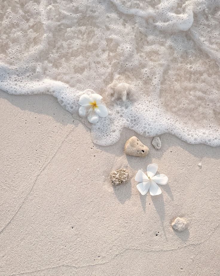 Authentic Goa: Off-Season Experiences You’ll Love